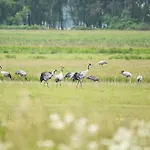 Vitus Bering - Modernes Urlaubsdomizil Zwischen Saaler Bodden Und Ostsee Apartment